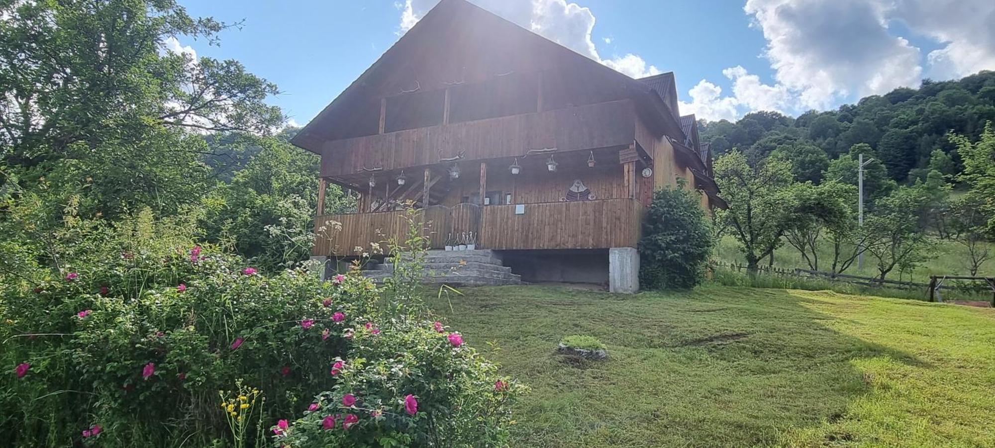 Cabana Suciu Villa Rachitele Esterno foto