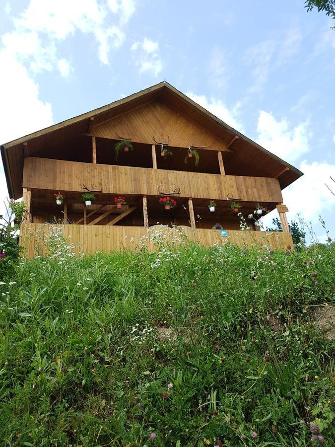 Cabana Suciu Villa Rachitele Esterno foto